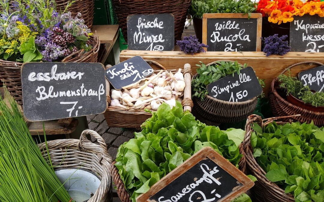 Vegetables Are A Great Source Of Protein?  Who knew?! | See our Top Ten Favourites!