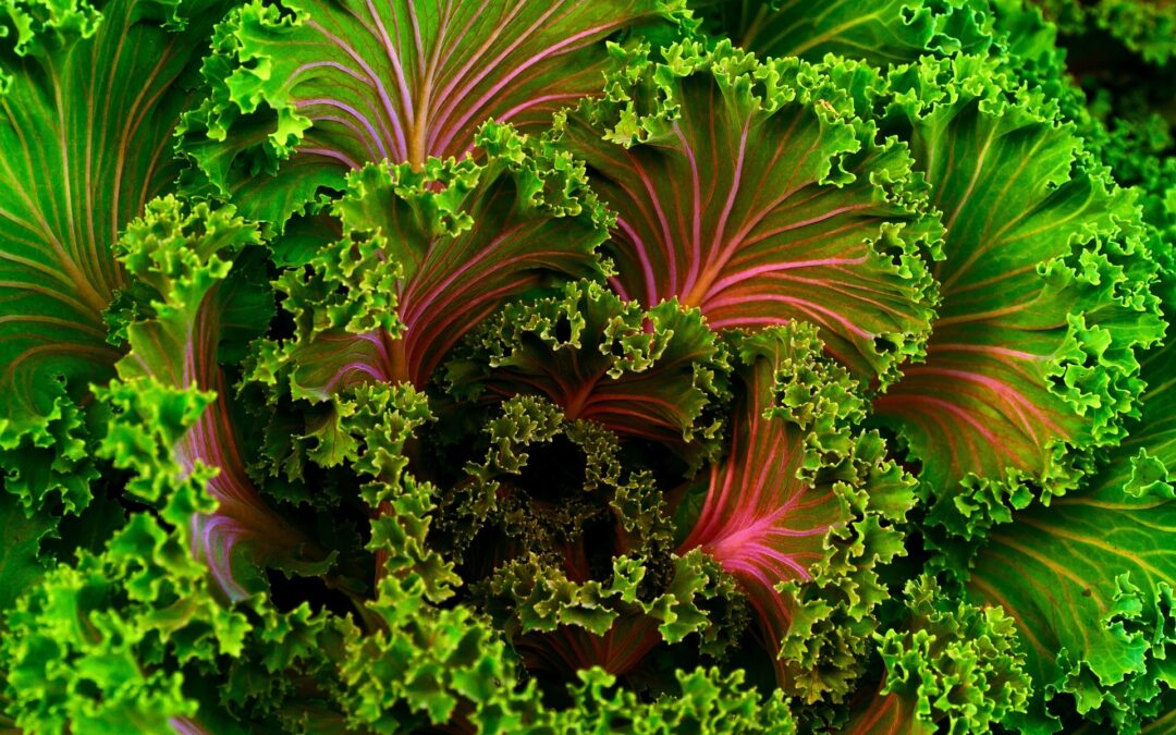 Liver Health | 9 Foods That Cleanse The Liver