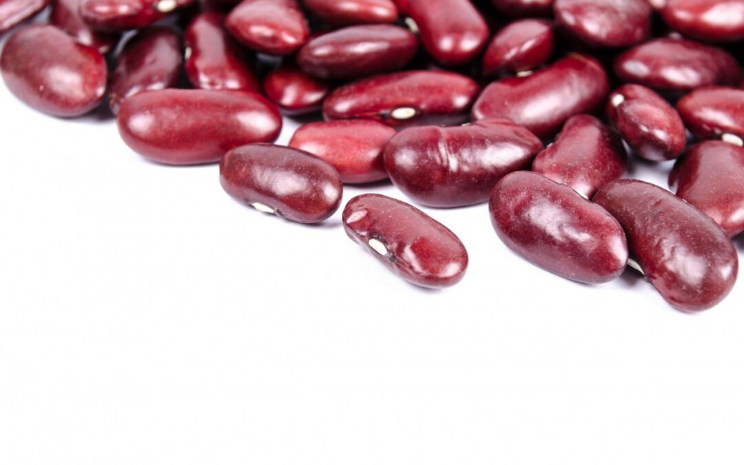 Kidney Stones – Preventing and Managing Through Your Diet