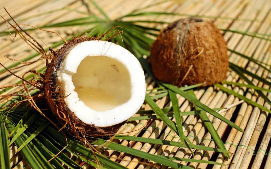 Coconut Oil and the Controversy Attached