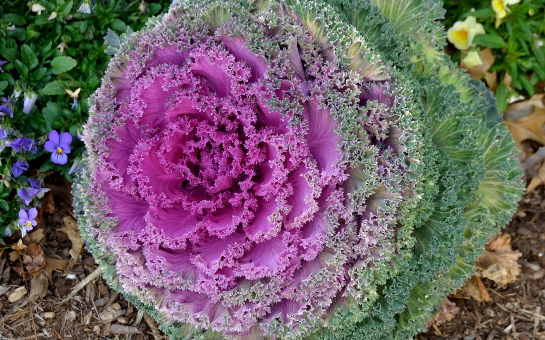 An Anti-Inflammartory Diet Consists of Whole, Nutritious Foods | Part One