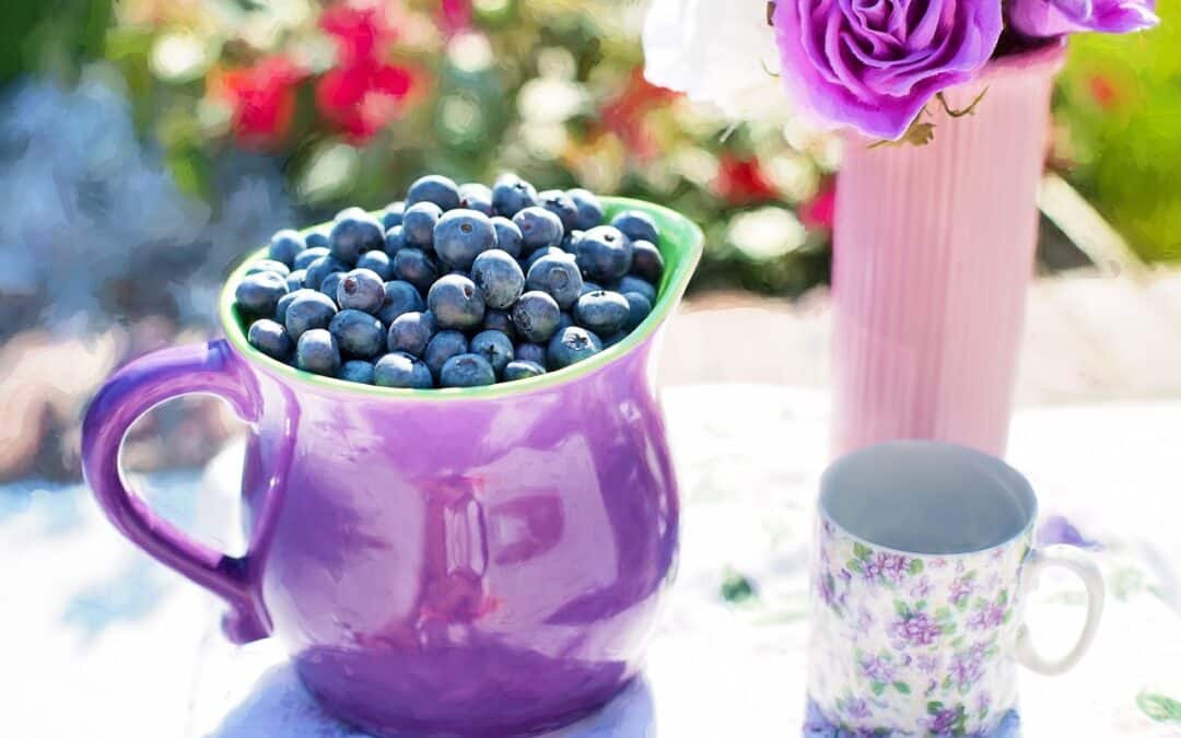 Diet or Lifestyle | Ki’s Kitchen ‘Take’