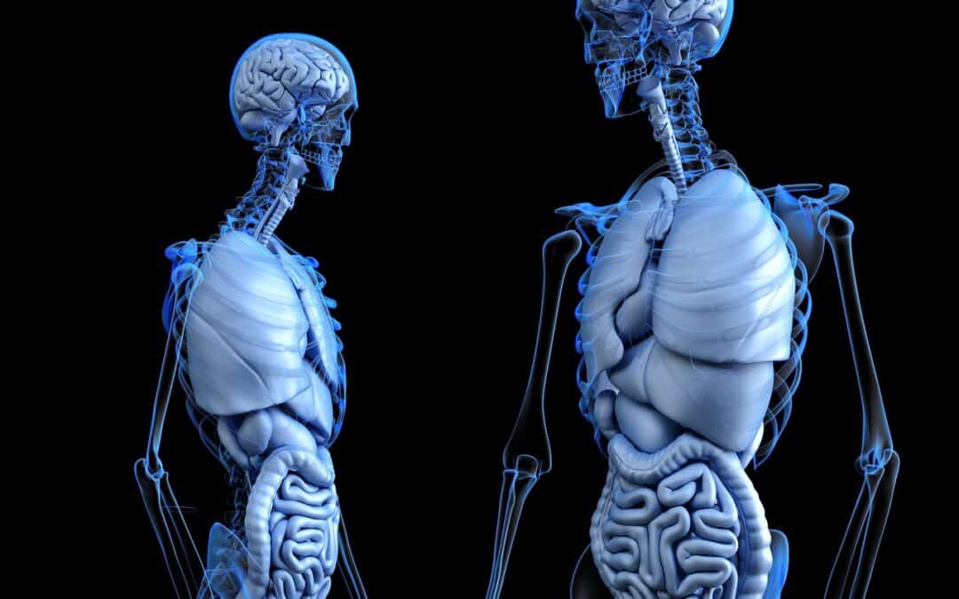 Constipation and How you can Take Steps to Avoid it