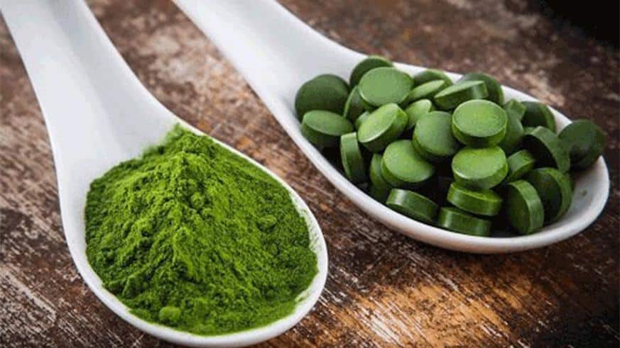 Spirulina | the little-known Superfood and its Amazing Properties