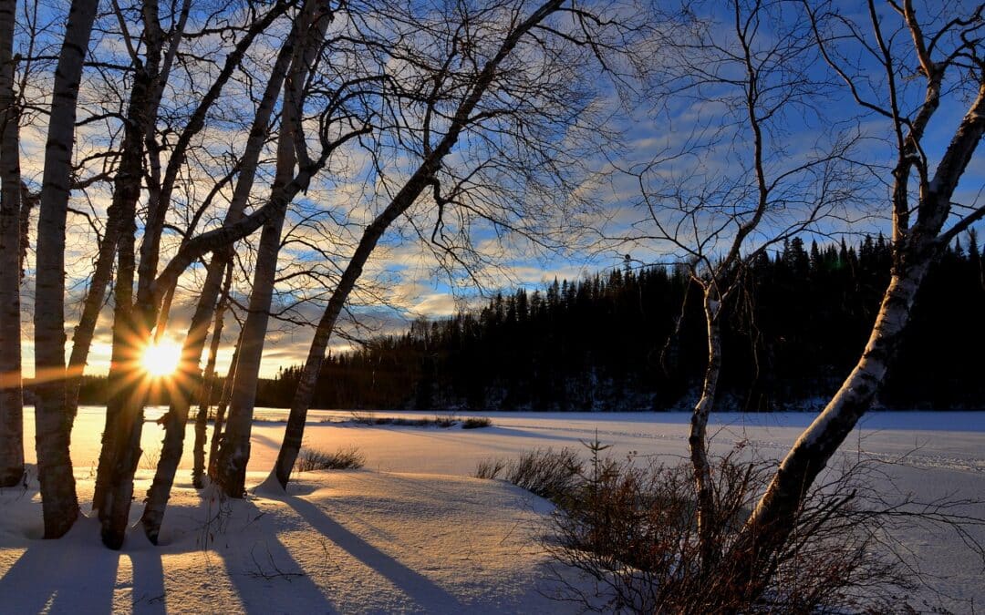 Winter is Coming We Need to Talk about Vitamin D