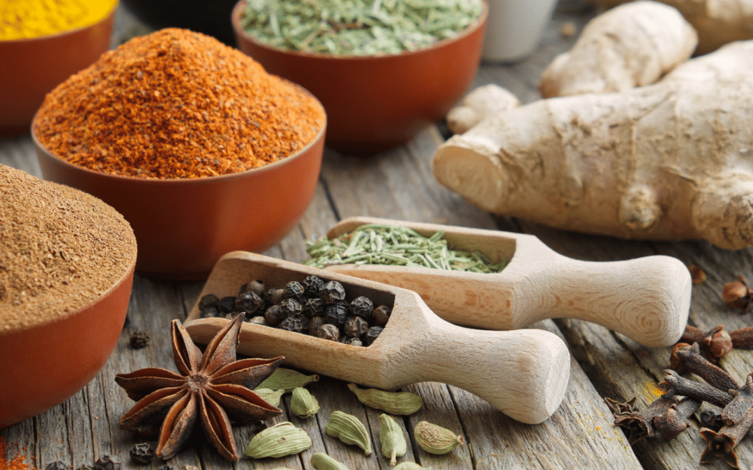 Finding Lasting Healing through Ayurveda: A Holistic Path to Gut Health and Wellbeing